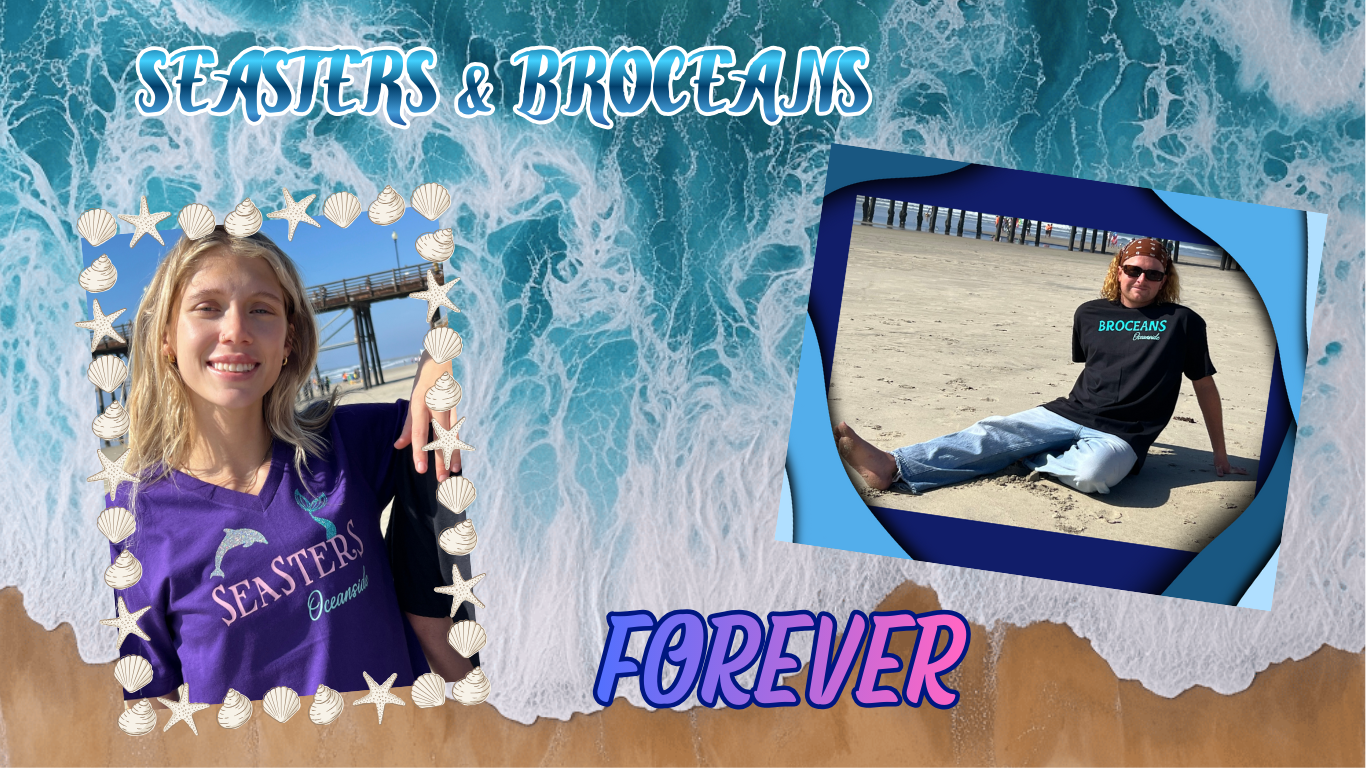 Save Some Sand Dollars